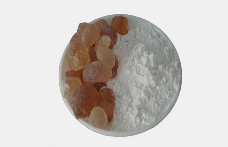 Origination of Gum Arabic Powder