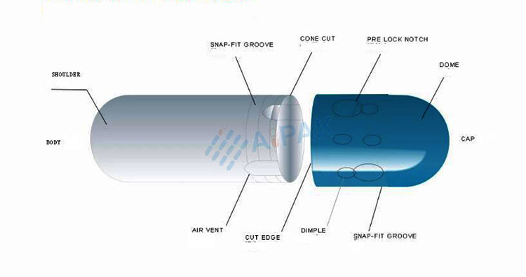 Structure of Empty Capsules