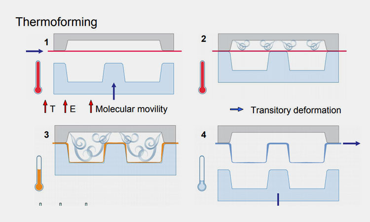 The-PVC-Packaging-Thermoforming-Blister-Formation