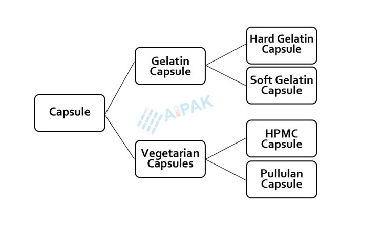 gelatin capsule