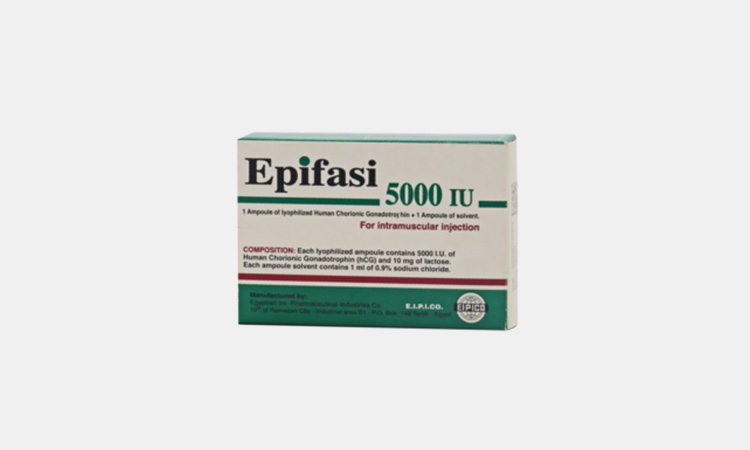 Epifasi