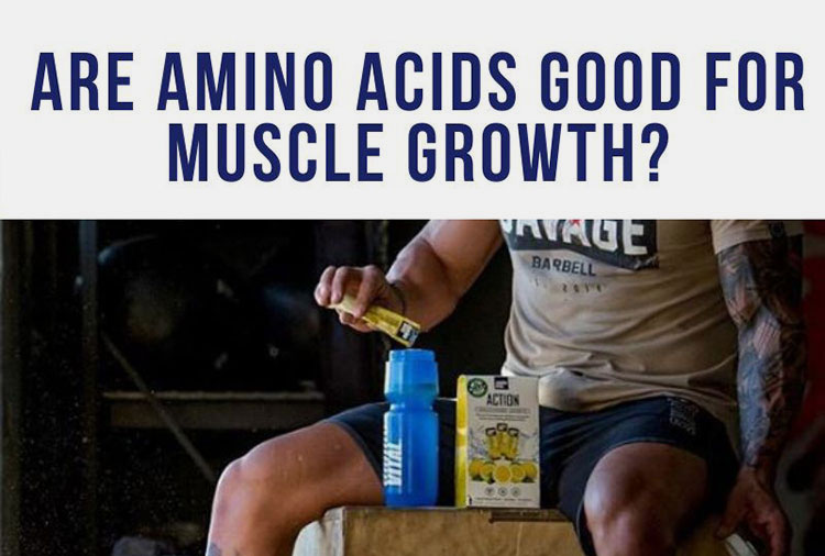 Amino acid powder meal replacement-2