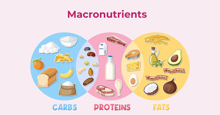 Carbohydrates
