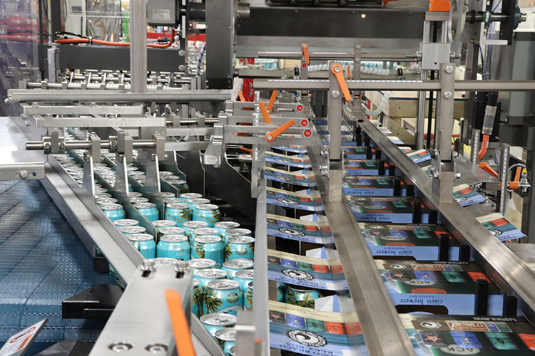 Cartoning of the cans in high speed cartoning machine