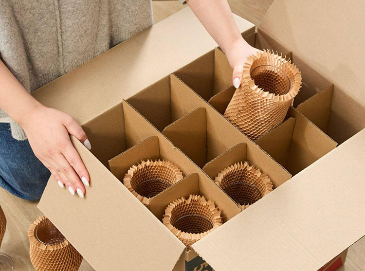Cartons with inserts partitions