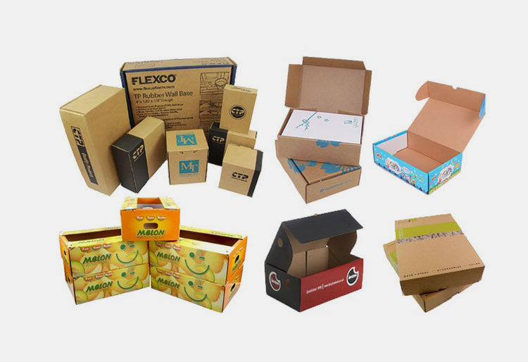 Different types of cartons used in daily life