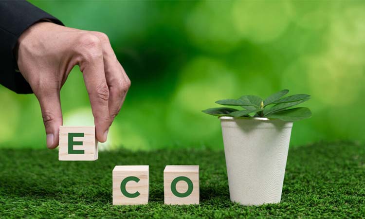 Environment Friendly