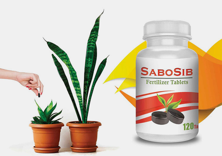 Fertilizer for the plants
