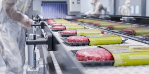 Food Cartoning Machine