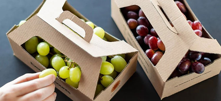 Fresh fruits packed in cartons