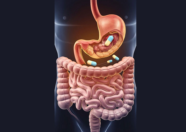 Impact on digestion