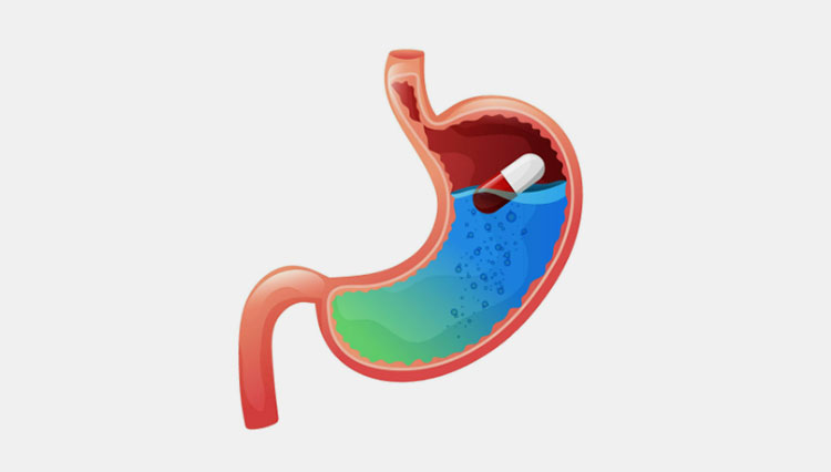 In the stomach