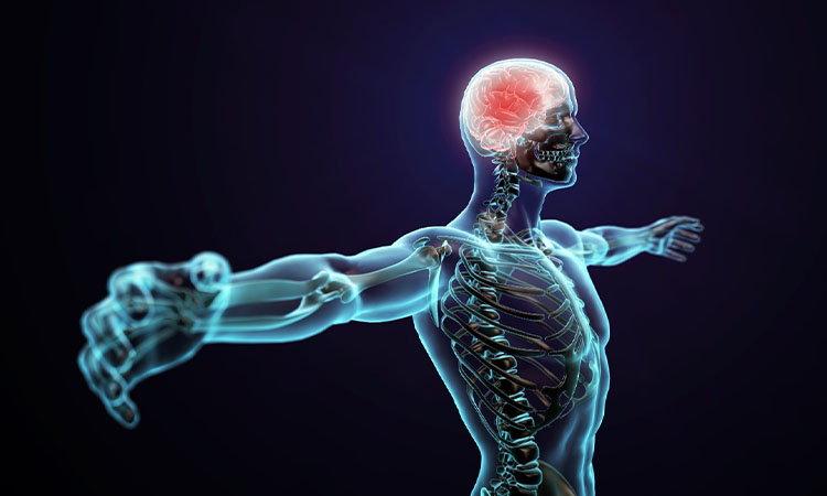 Nerve health