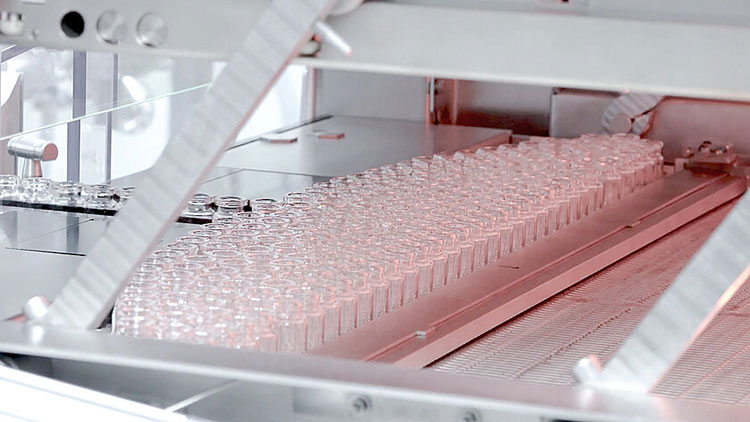 Sterilization
