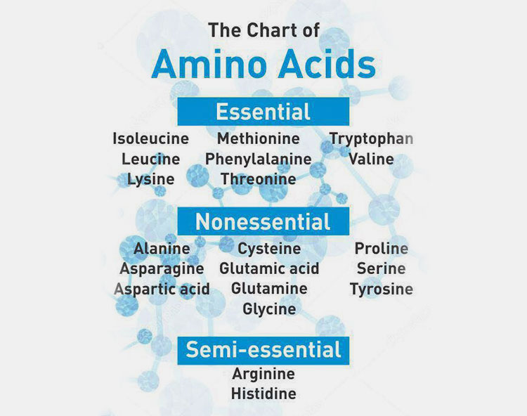 Supports nutritional balance
