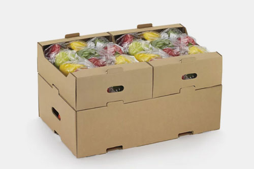 Tray and Cover
