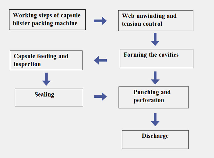 principle of capsule blister packing machine-1