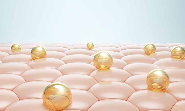 Ceramides