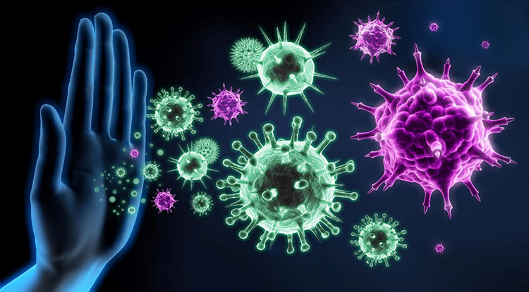 Strengthen immune system