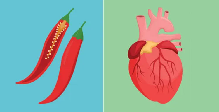Support healthy heart