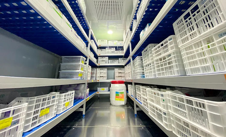 Accelerated stability chamber in pharmaceutical industry