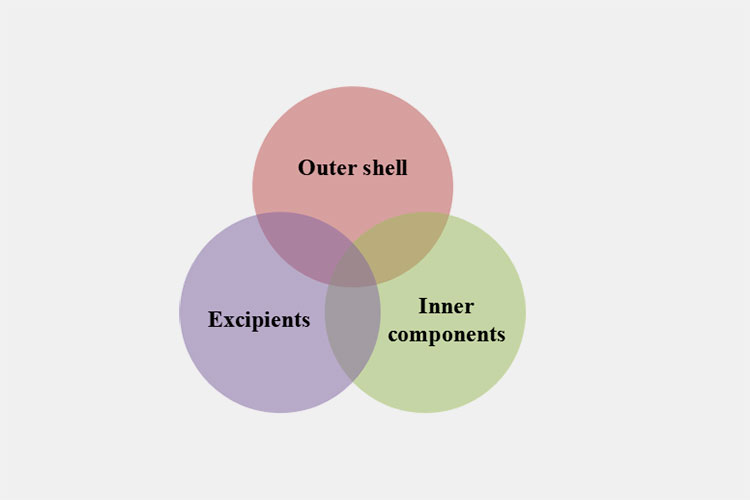 Basic composition of a Capsule