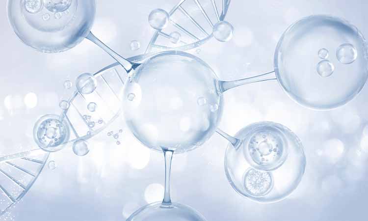 Cell repair