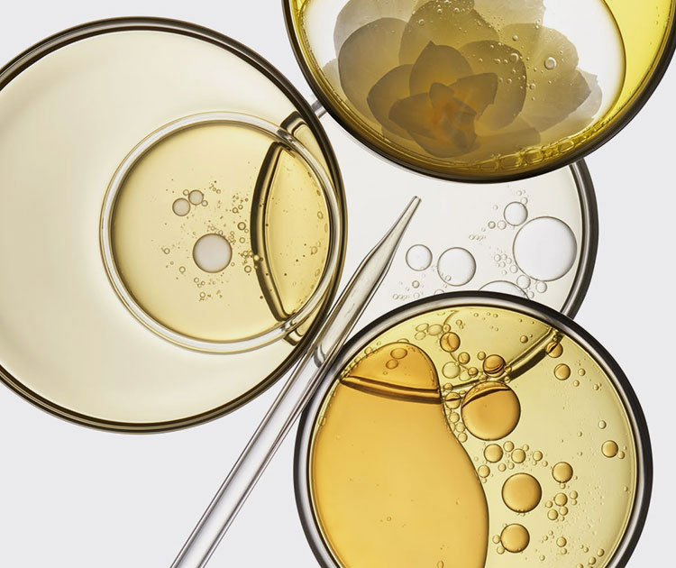Compatibility of high shear mixers