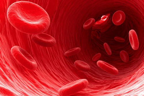 Improves Iron Absorption