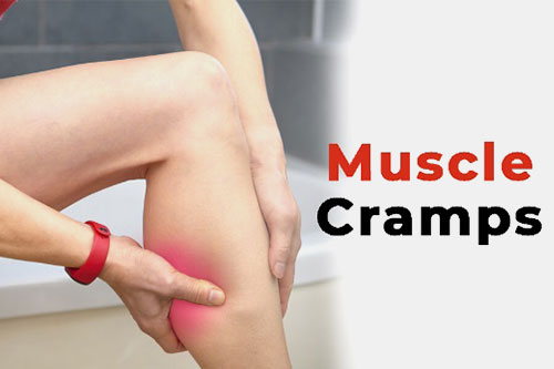 Muscle Fatigue