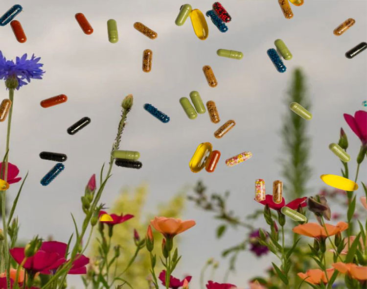 Photo showing capsule colors through natural pigments