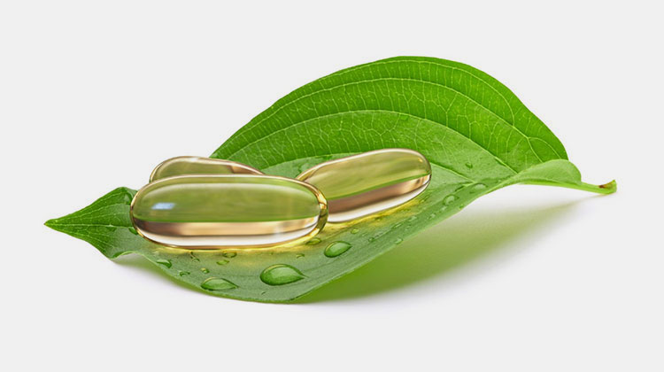 Plant-Based Shell