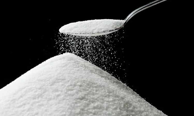Powder Properties