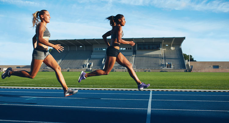 Sports Training Centers