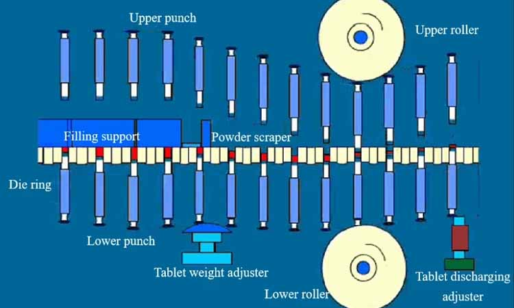 The Core Path of Pressure Transmission
