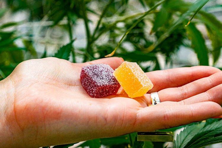 Two different flavors of biotin gummies