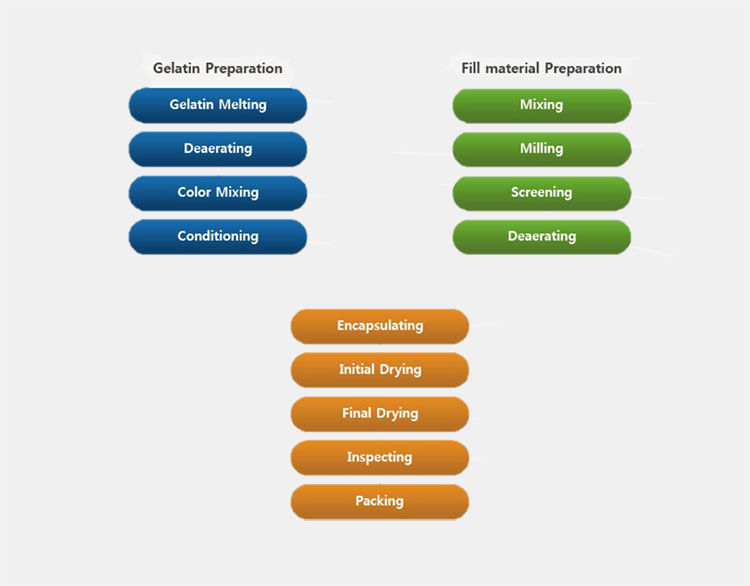 soft gelatin capsule manufacturing