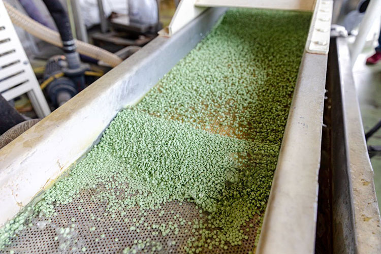 Drying-process-6