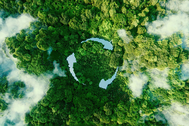 Environmental conditions