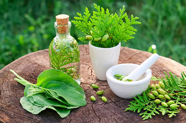 Herbal Industry