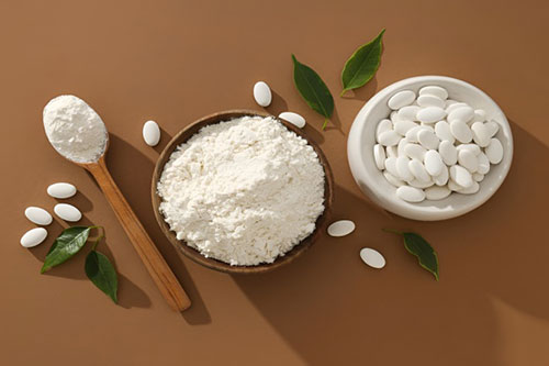 Pharmaceutical Industry