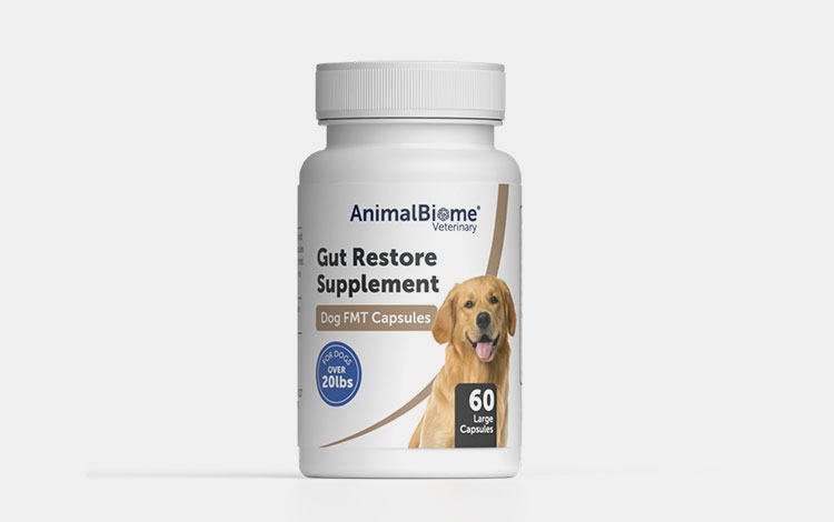 Veterinary Industry
