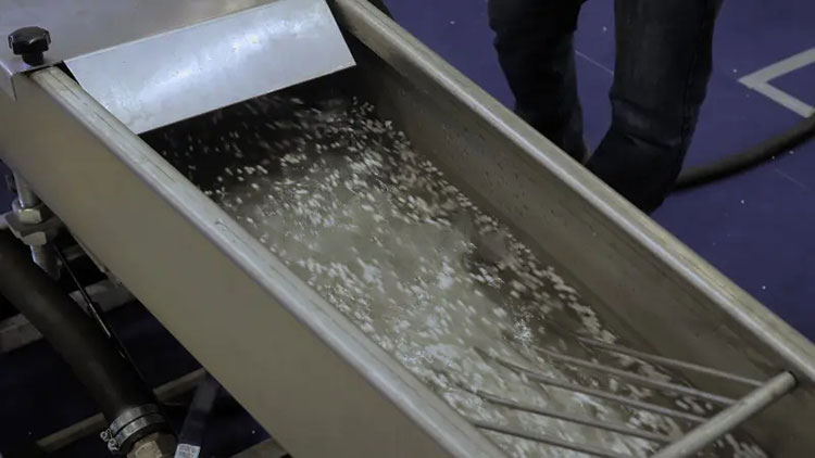Wet massing and screening