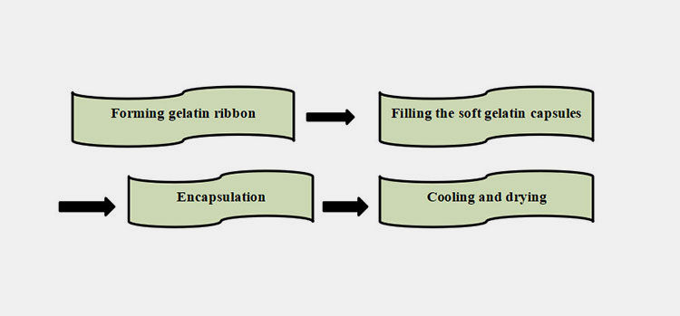 behind soft gelatin capsule manufacturing
