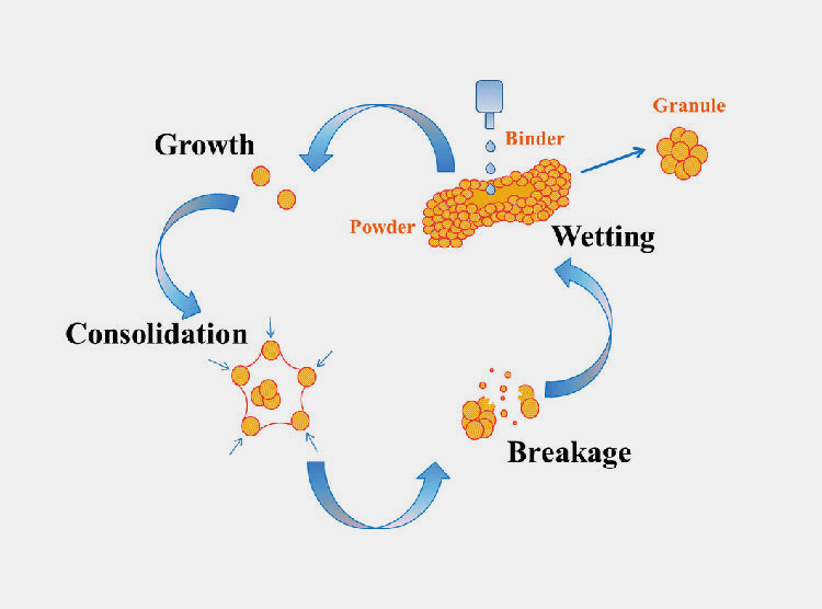 wet granulation process