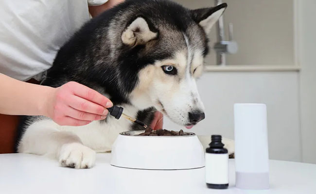 Animal Health