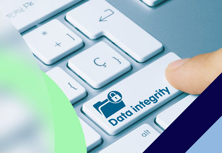 Digital Validation and Data Integrity