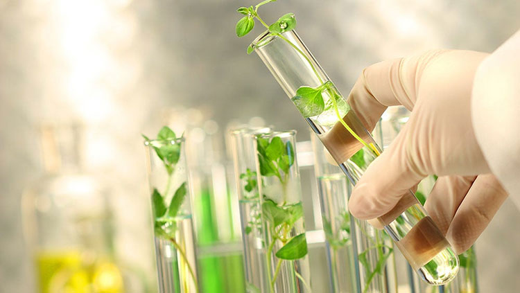 Green Cleaners and Sustainable Validation Methods