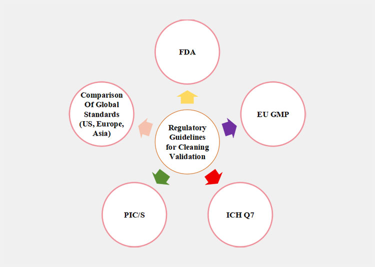 Regulatory Guidelines for Cleaning Validation