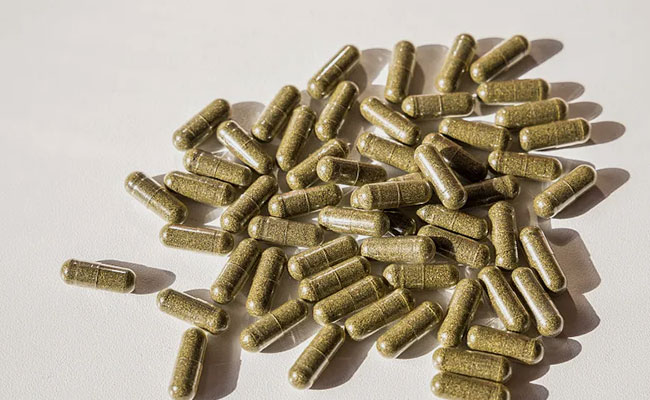 Traditional Medicine Producers